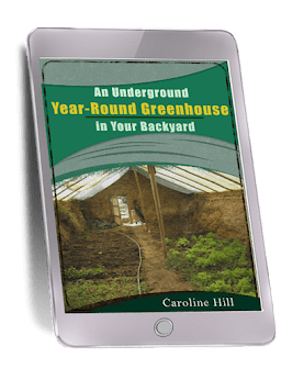 The Lost SuperFoods Bonus 1
